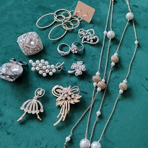 Elegant Silver and Gold-tone Jewelry Set